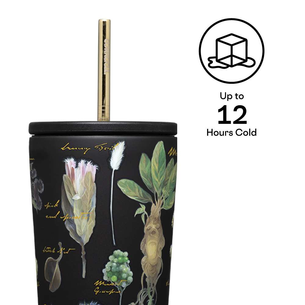 Harry Potter Cold Cup - Premium Daily Ready Pick